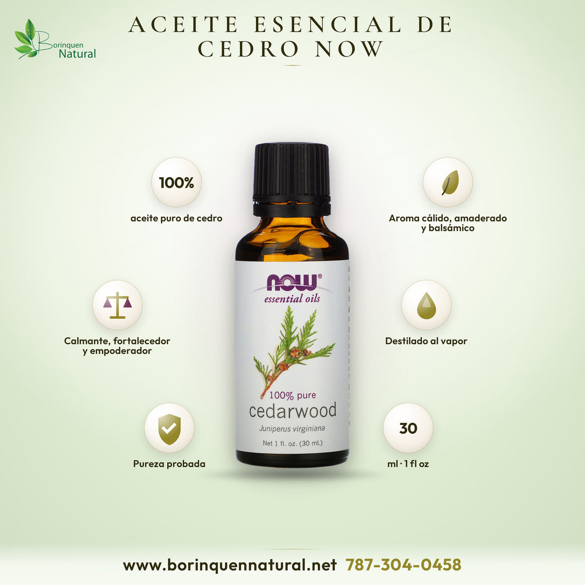 NOW cedarwood essential oil graphic: 100% pure cedarwood oil, steam distilled, 30 mL (1 fl oz)