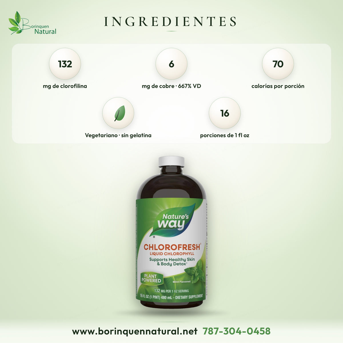Ingredientes de Chlorofresh: 132 mg de clorofilina, 6 mg de cobre (667% VD), 70 calorías y 16 porciones