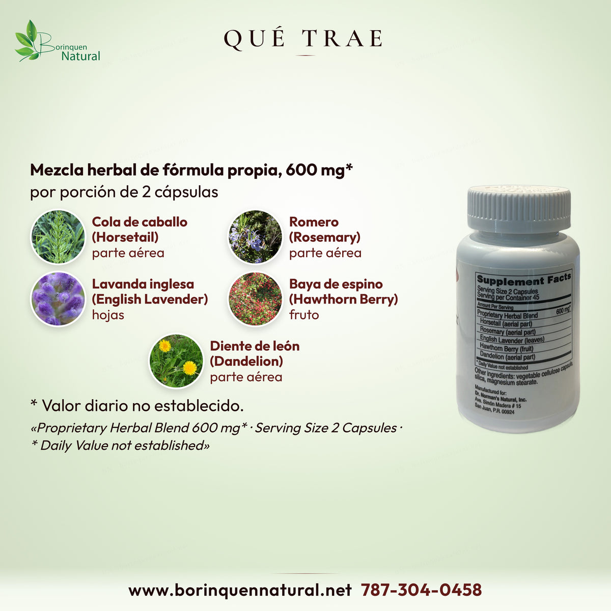 Qué trae Circuplex: cola de caballo, romero, lavanda inglesa, baya de espino y diente de león en mezcla de 600 mg