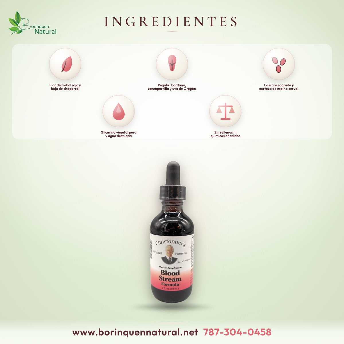 Ingredientes del Blood Stream Formula de Christopher's: trébol rojo, chaparral, regaliz, bardana, zarzaparrilla y más