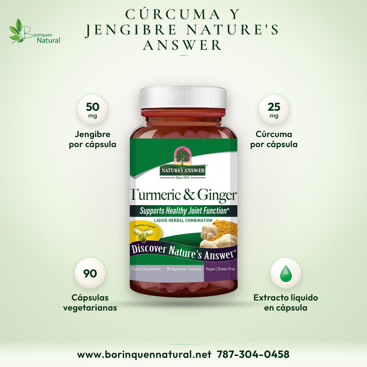 Turmeric & Ginger de Nature's Answer: 50 mg de jengibre y 25 mg de cúrcuma por cápsula, 90 cápsulas