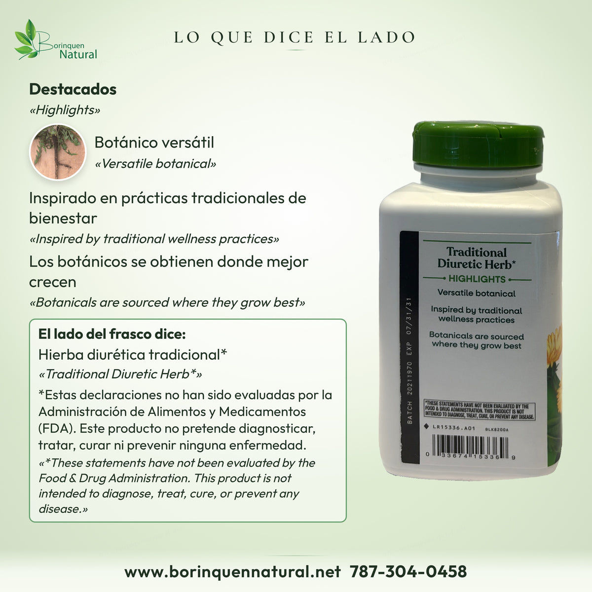 Lo que dice el lado del frasco de raíz de diente de león: botánico versátil, con la foto de la raíz de la planta