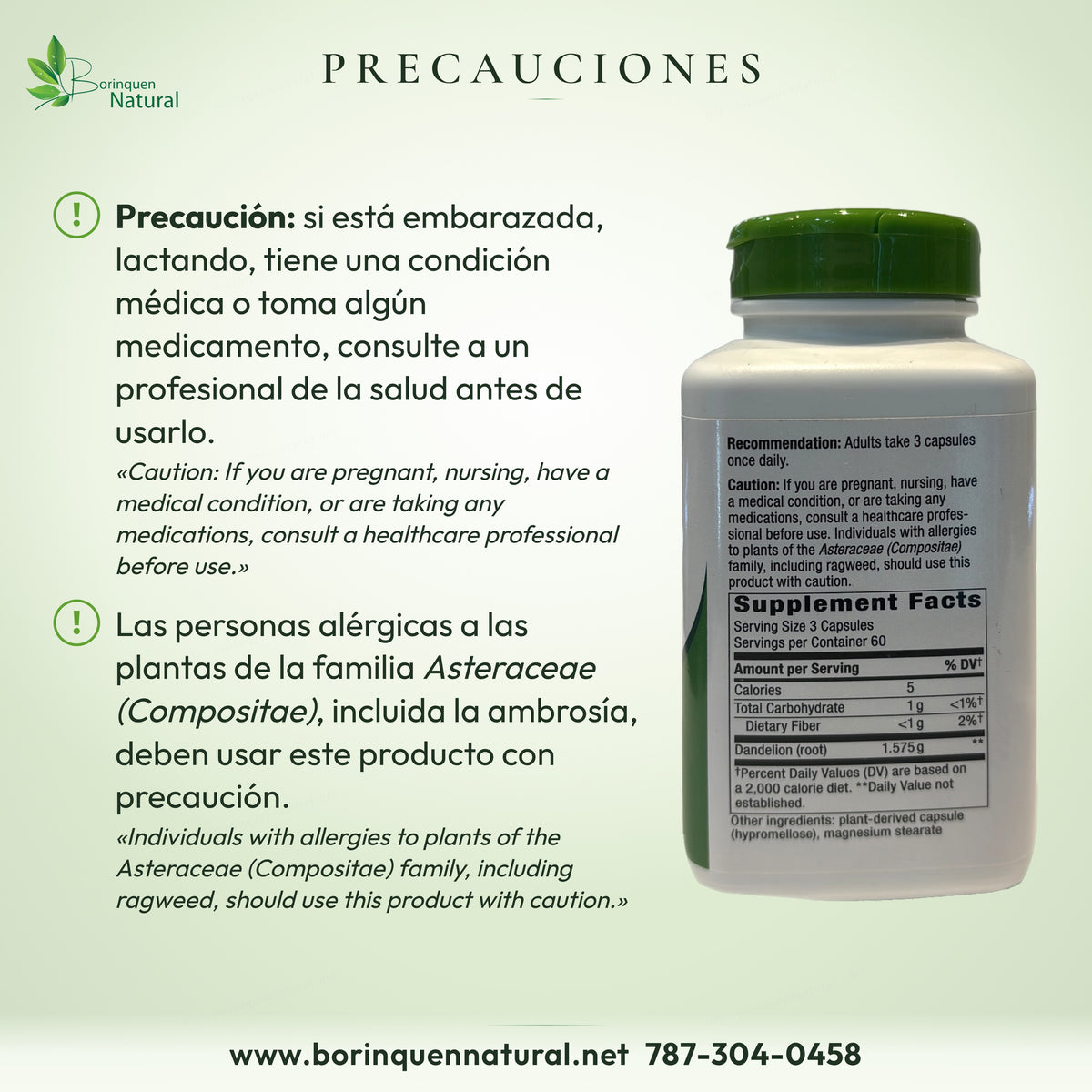 Precauciones de la raíz de diente de león Nature's Way: embarazo, lactancia, medicamentos y alergia a las Asteraceae