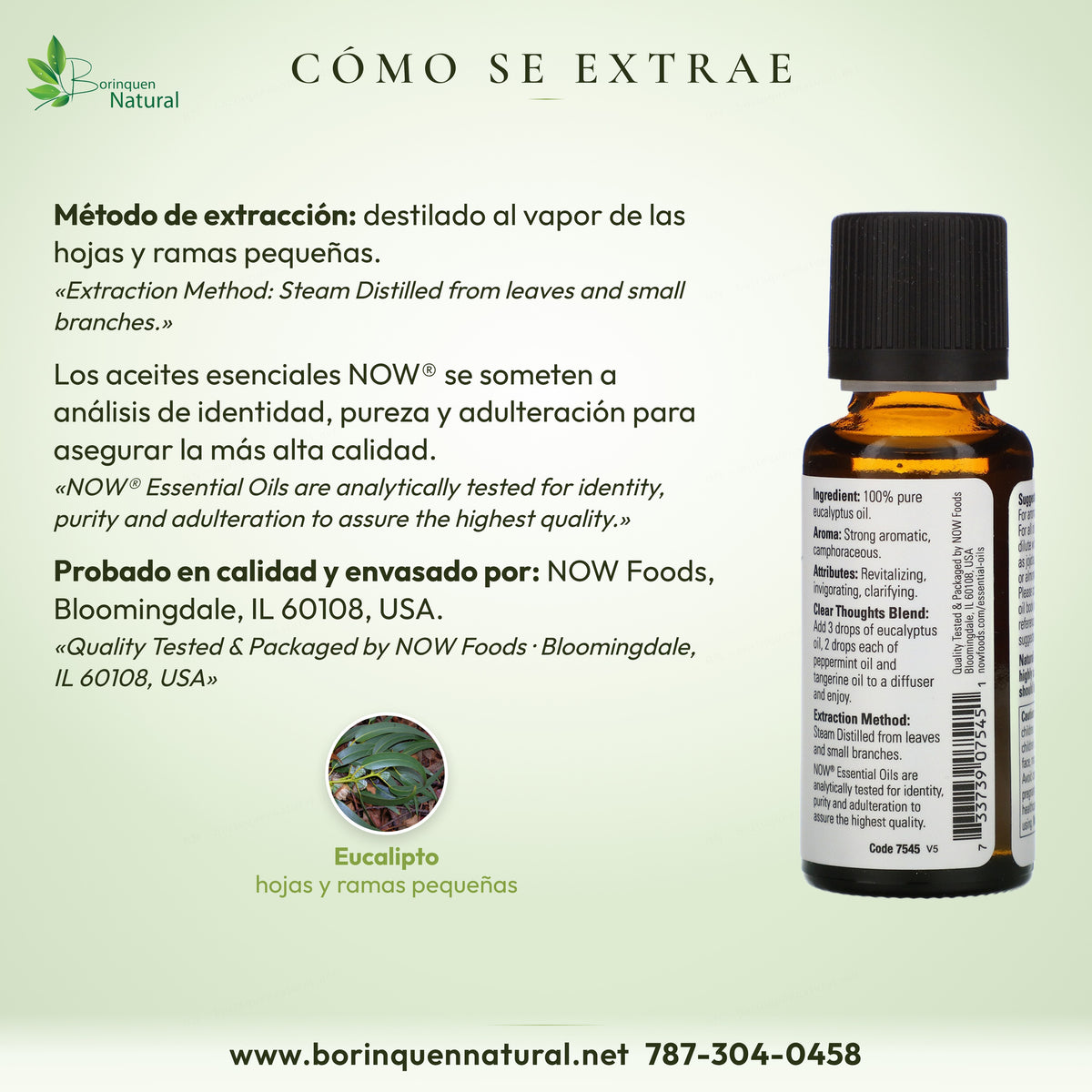Cómo se extrae el eucalipto NOW: destilado al vapor de hojas y ramas pequeñas; probado y envasado por NOW Foods