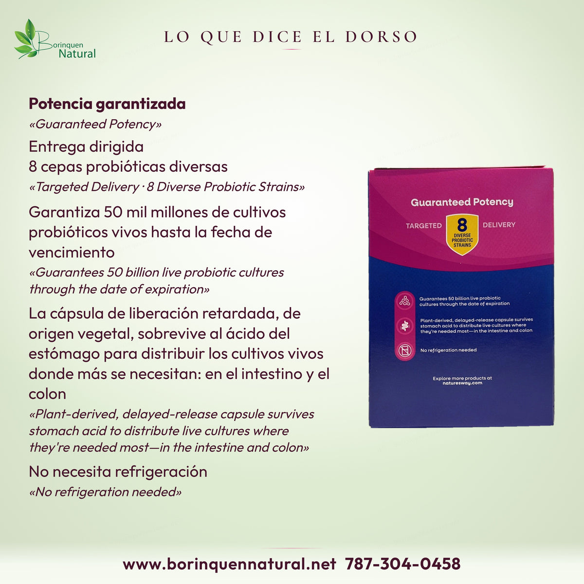 Dorso de la caja de Fortify Optima Women's: potencia garantizada, 8 cepas y cápsula de liberación retardada vegetal