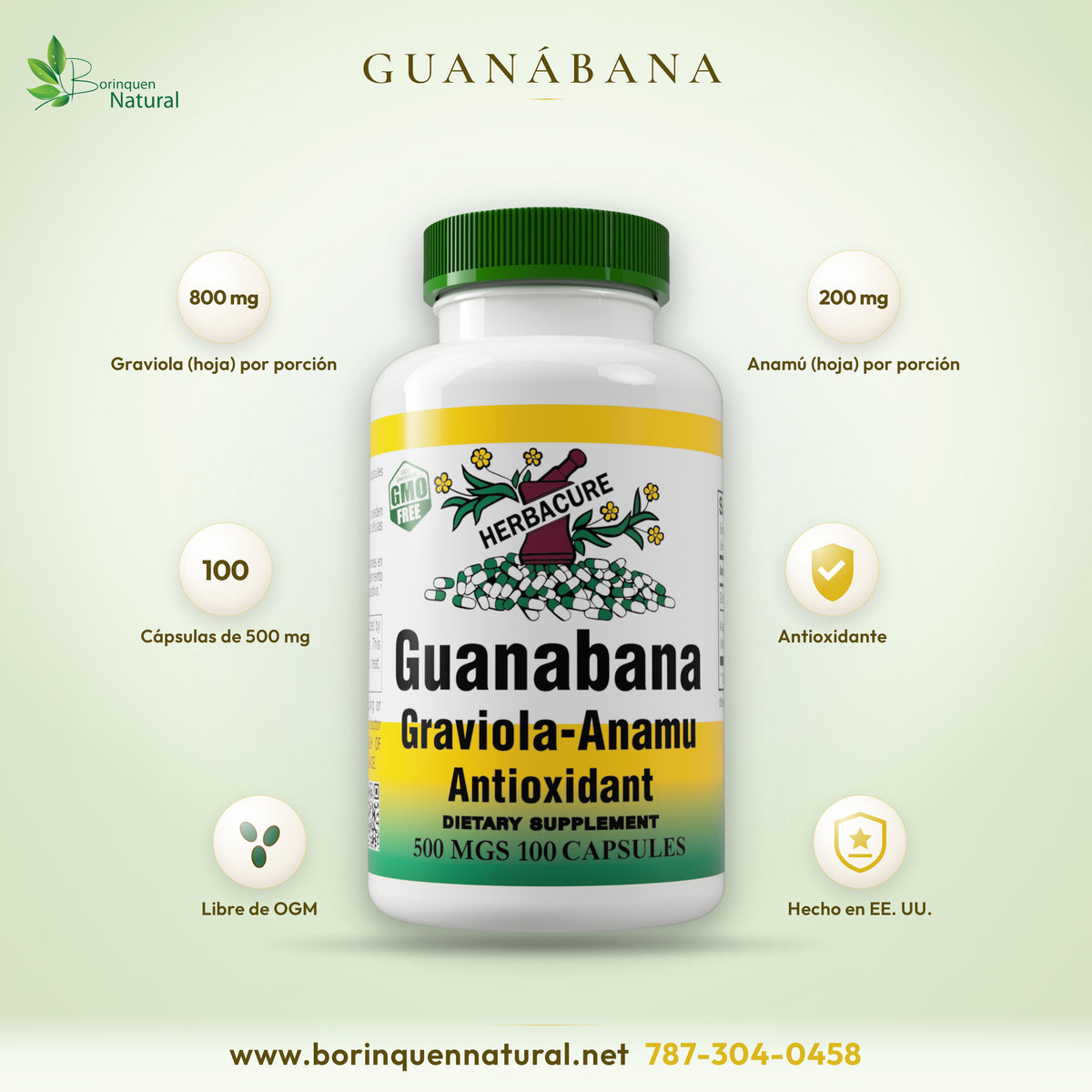 Guanábana Graviola-Anamú de Herbacure, frasco de 100 cápsulas de 500 mg con hoja de graviola y hoja de anamú