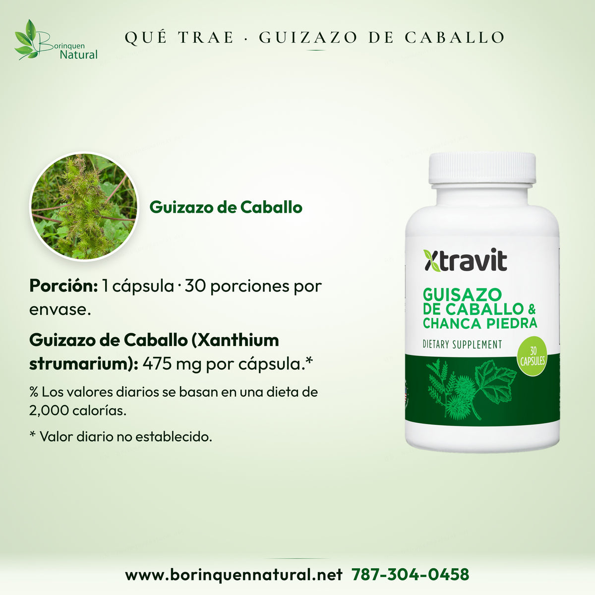 Porción: una cápsula; 30 porciones. Guizazo de Caballo, Xanthium strumarium: 475 mg; valor diario no establecido.