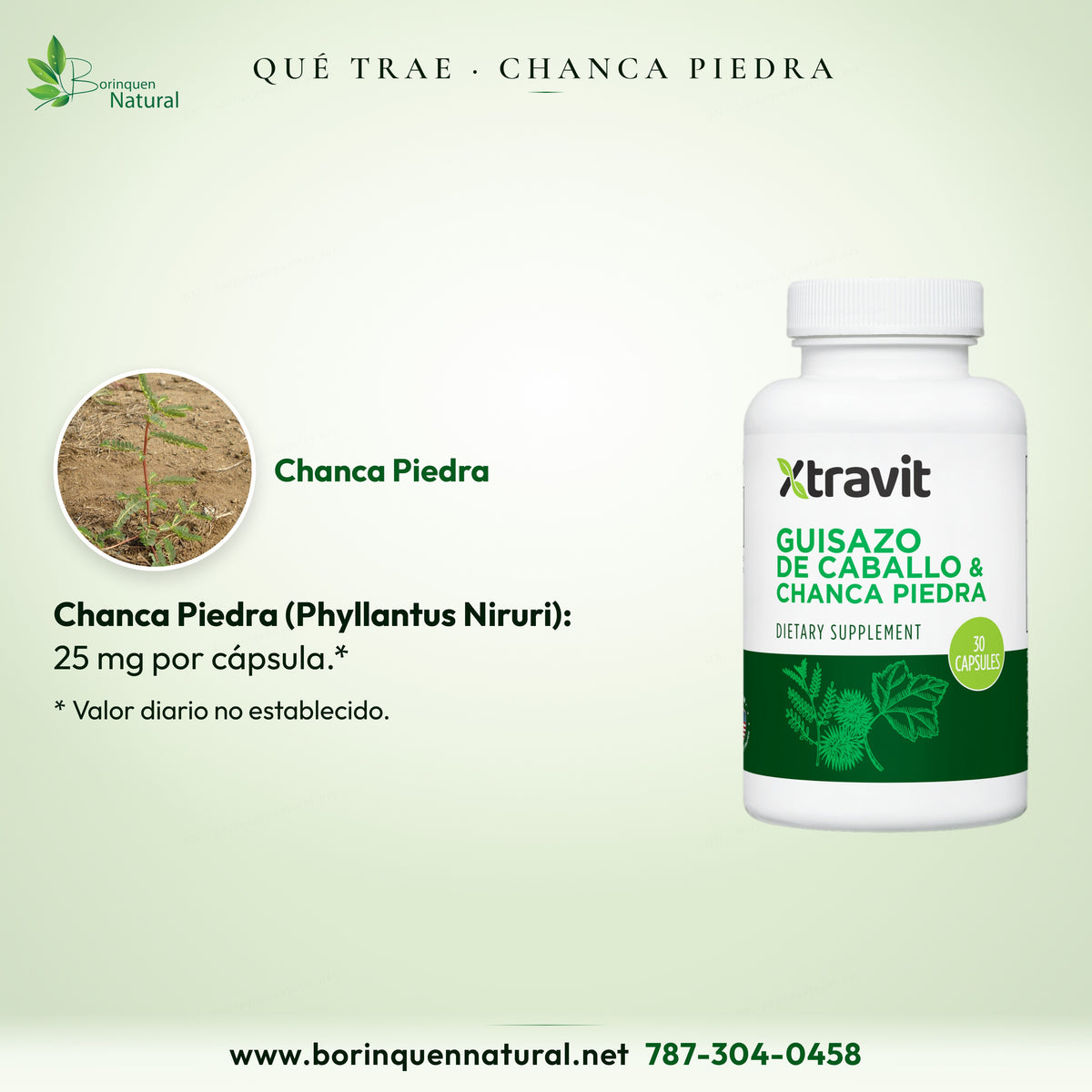 Chanca Piedra, Phyllantus Niruri: 25 mg por cápsula; valor diario no establecido.