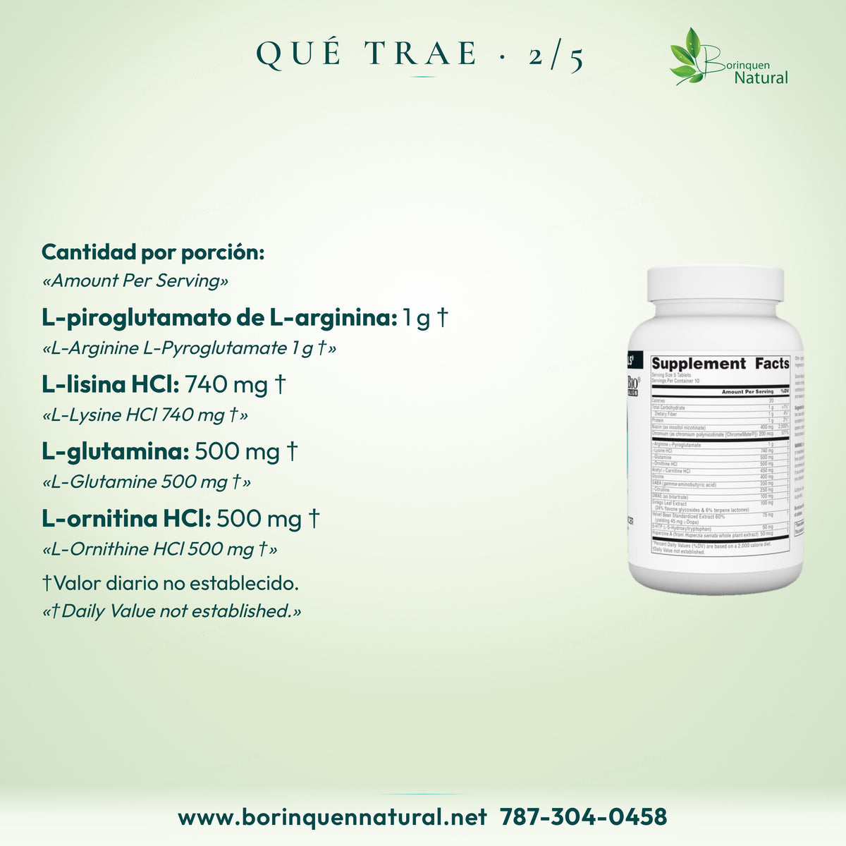 L-arginina L-piroglutamato 1 g; L-lisina HCl 740 mg; L-glutamina 500 mg; L-ornitina HCl 500 mg.