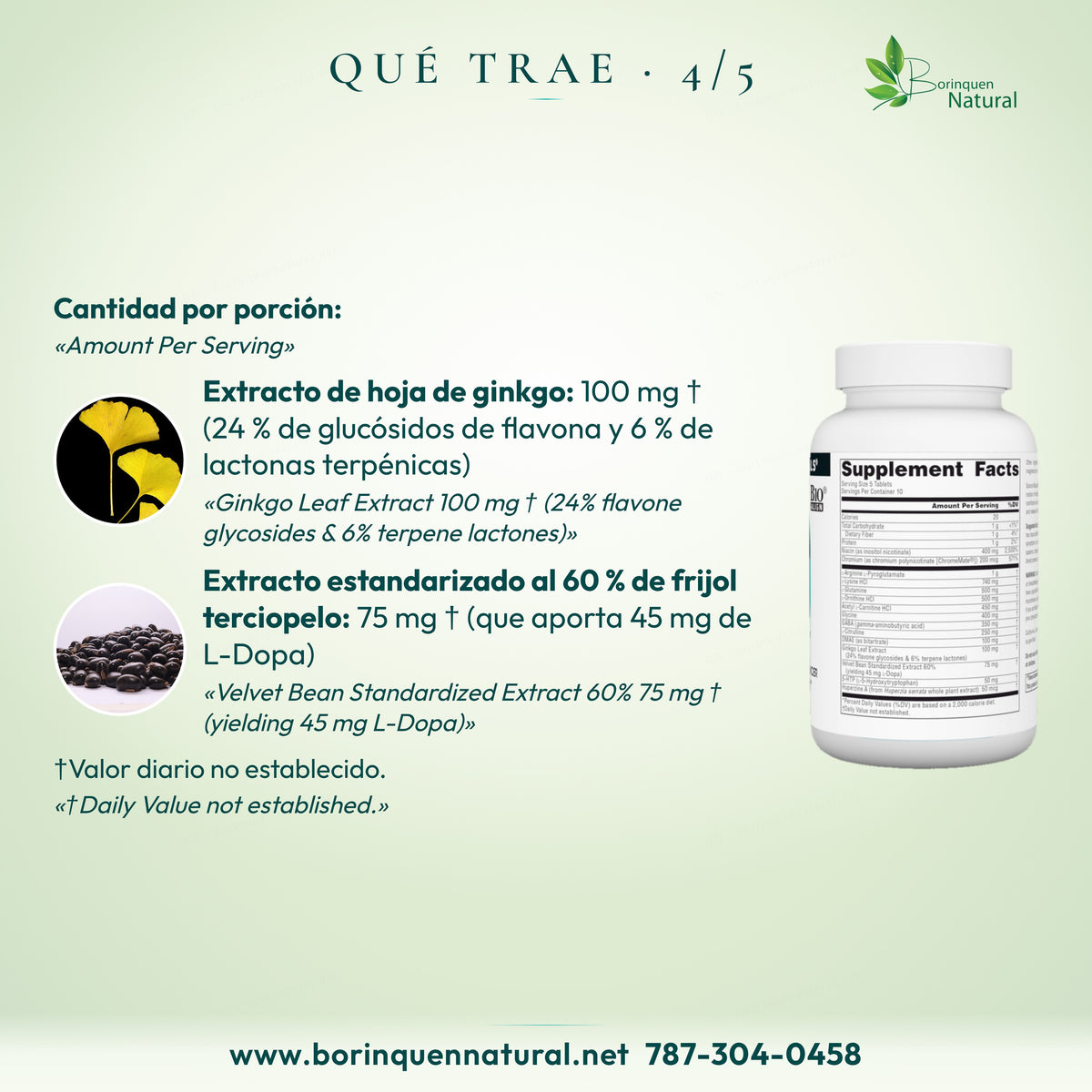 Ginkgo 100 mg, 24 % glucósidos de flavona y 6 % lactonas terpénicas; frijol terciopelo 75 mg, 60 %, aporta 45 mg L-Dopa.