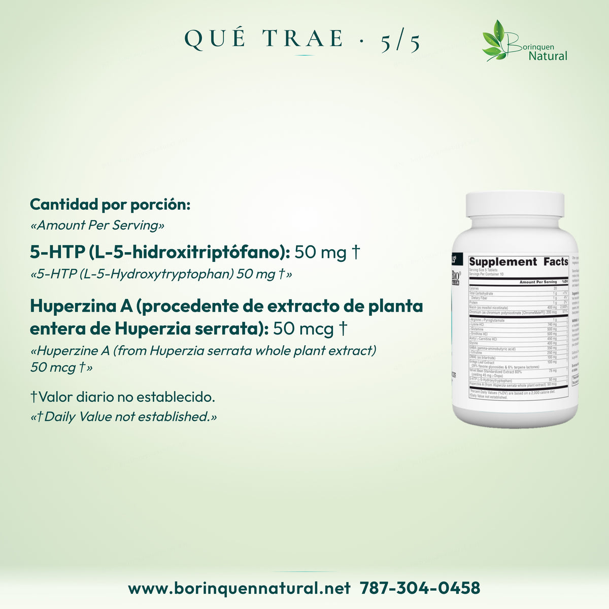 5-HTP (L-5-hidroxitriptófano) 50 mg; huperzina A de extracto de planta entera de Huperzia serrata 50 mcg.