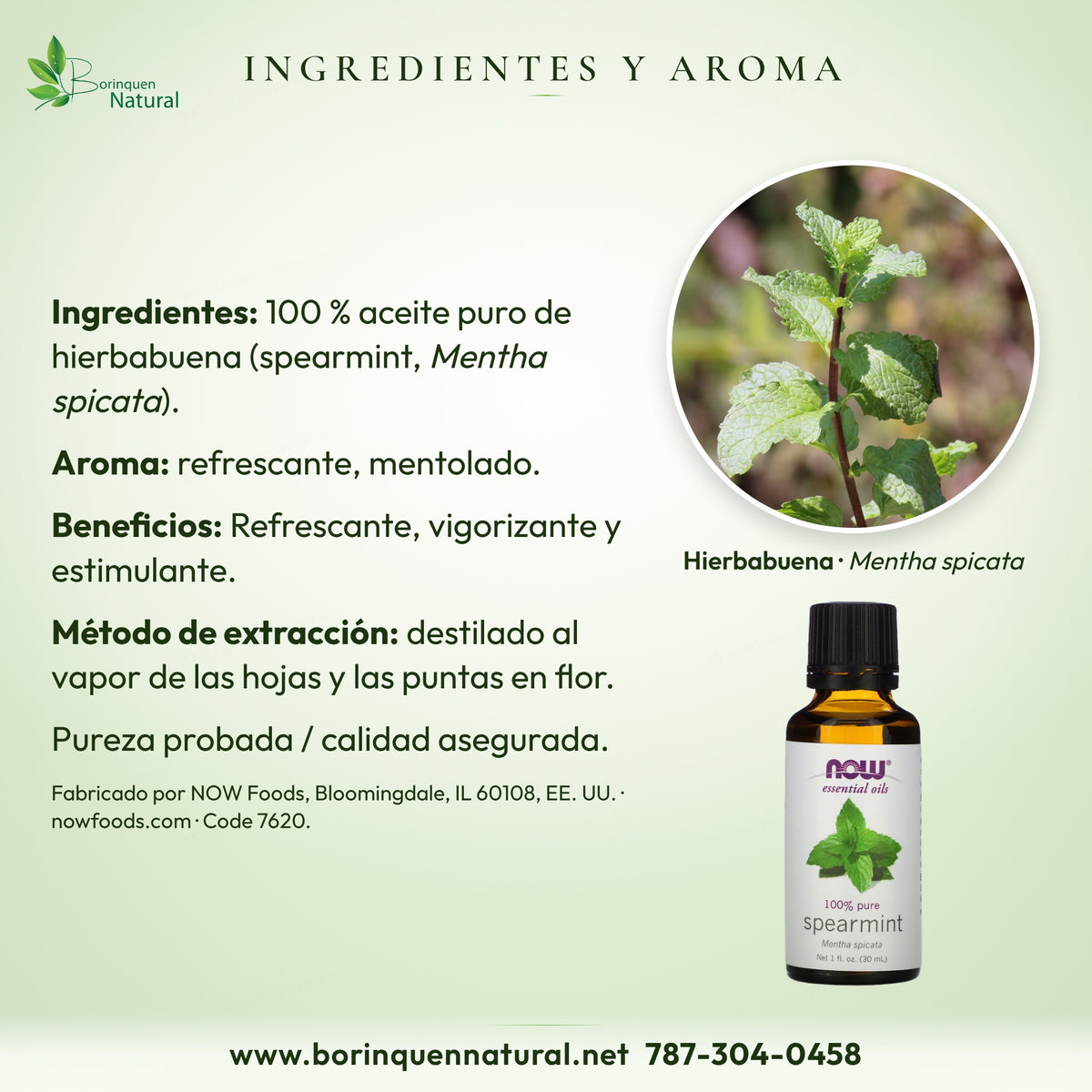 Ingredientes y aroma del aceite de hierbabuena NOW: 100 % Mentha spicata, aroma refrescante y mentolado, destilado al vapor de hojas y puntas en flor