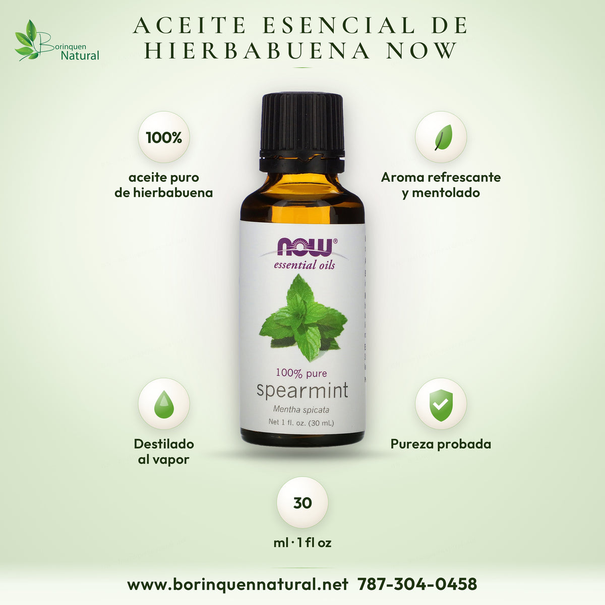 Aceite esencial de hierbabuena NOW: 100 % aceite puro, aroma refrescante y mentolado, destilado al vapor, pureza probada, 30 ml (1 fl oz)