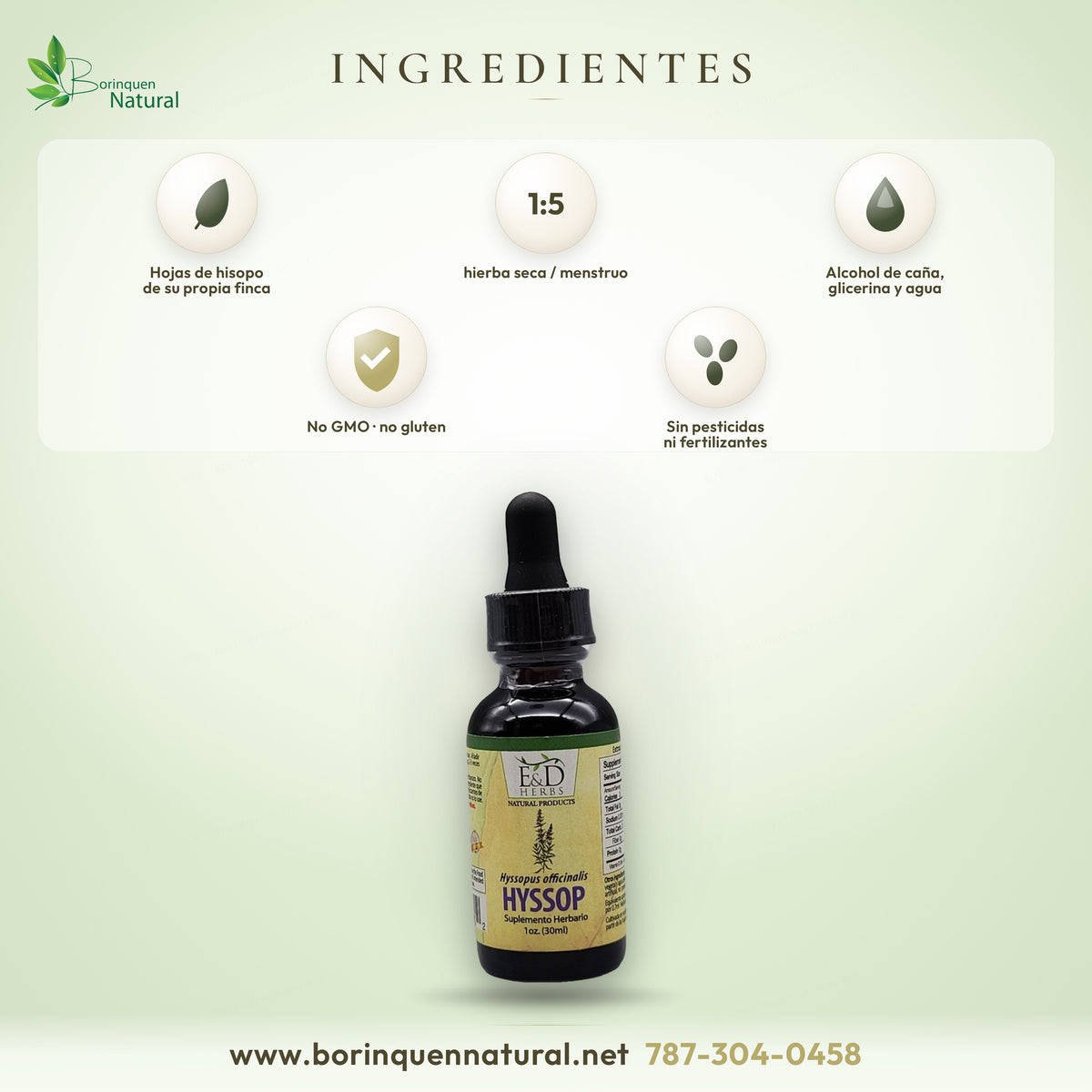 Ingredientes del Hisopo E&D Herbs: hojas de hisopo de su propia finca, alcohol de caña, glicerina y agua