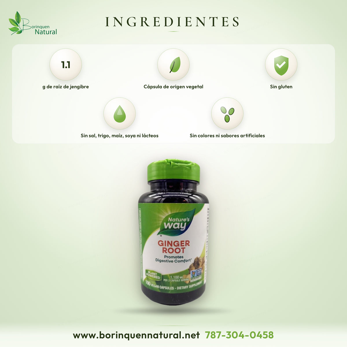 Ingredientes del jengibre de Nature's Way: 1.1 g de raíz de jengibre por porción, cápsula vegetal, sin gluten