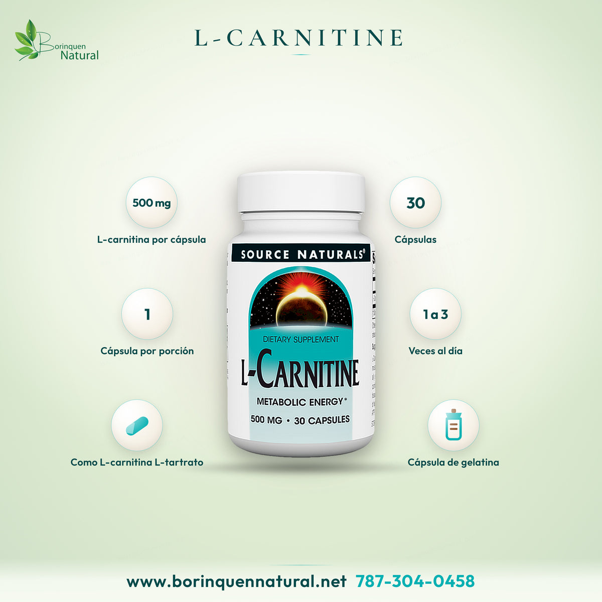 L-Carnitine de Source Naturals, 500 mg de L-carnitina como L-tartrato por cápsula, frasco de 30 cápsulas