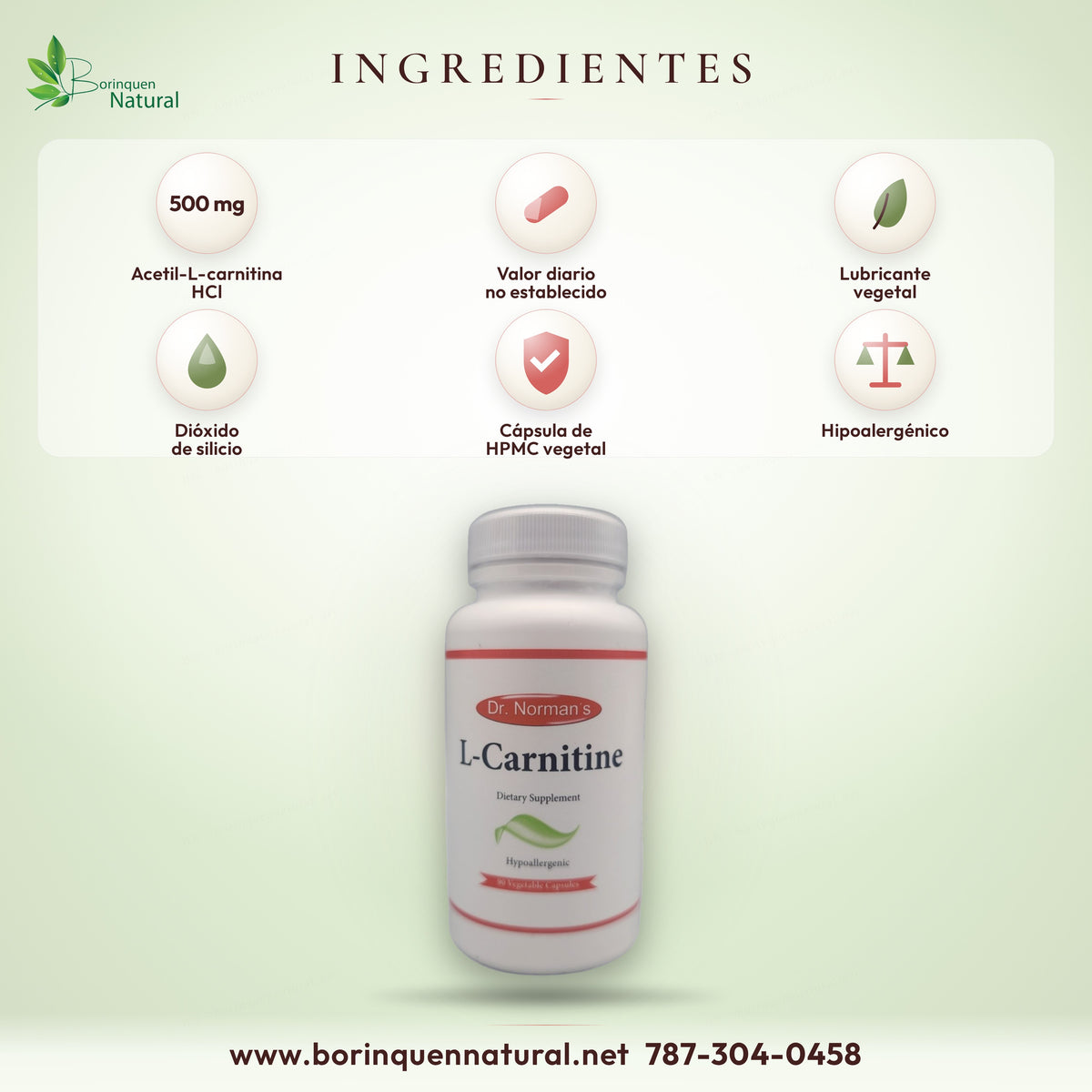 Ingredientes del L-Carnitine: 500 mg de acetil-L-carnitina HCl por cápsula