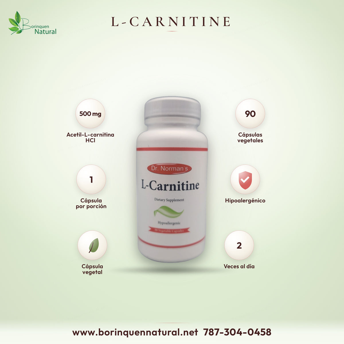L-Carnitine Dr. Norman's, 90 cápsulas vegetales, 500 mg de acetil-L-carnitina