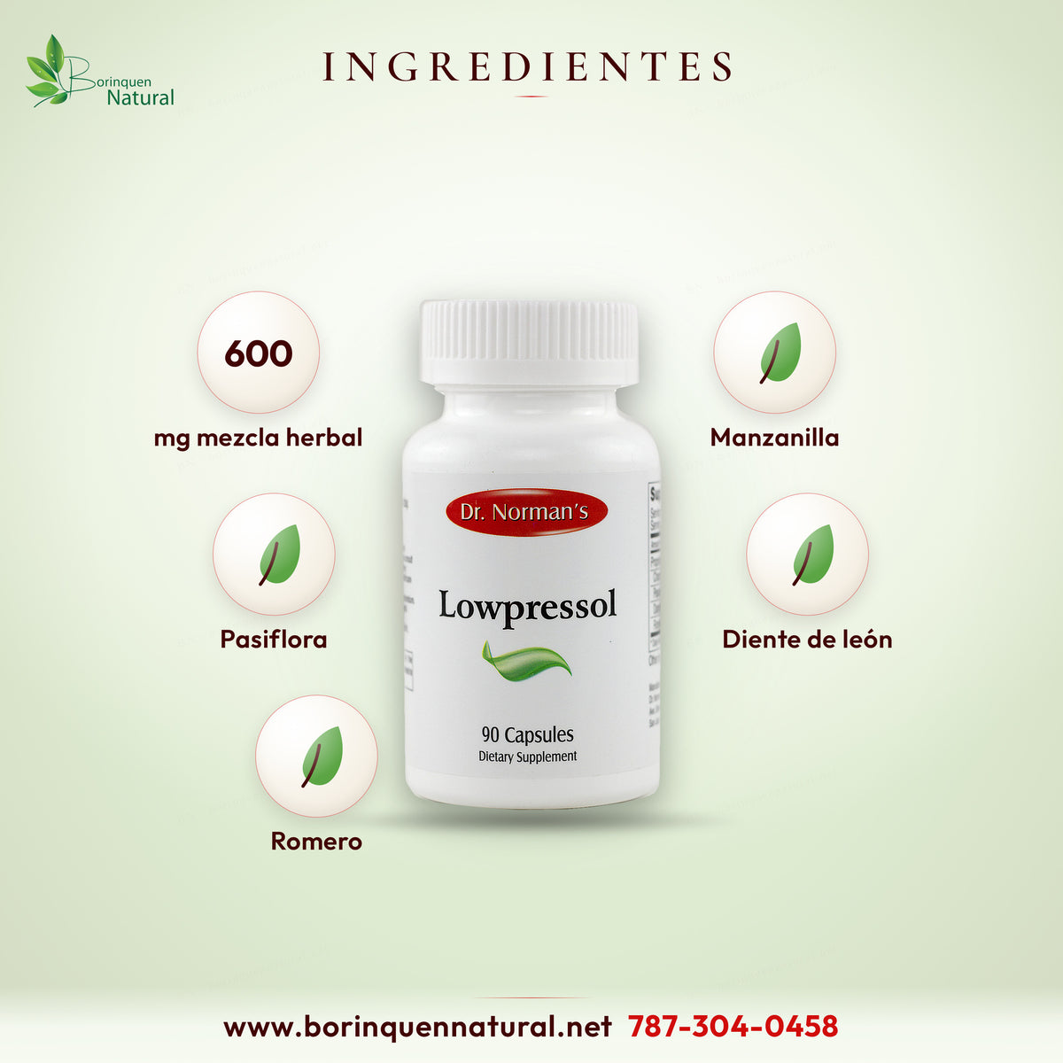 Ingredientes de Lowpressol: mezcla de 600 mg de manzanilla, pasiflora, diente de león y romero por porción de 2 cápsulas