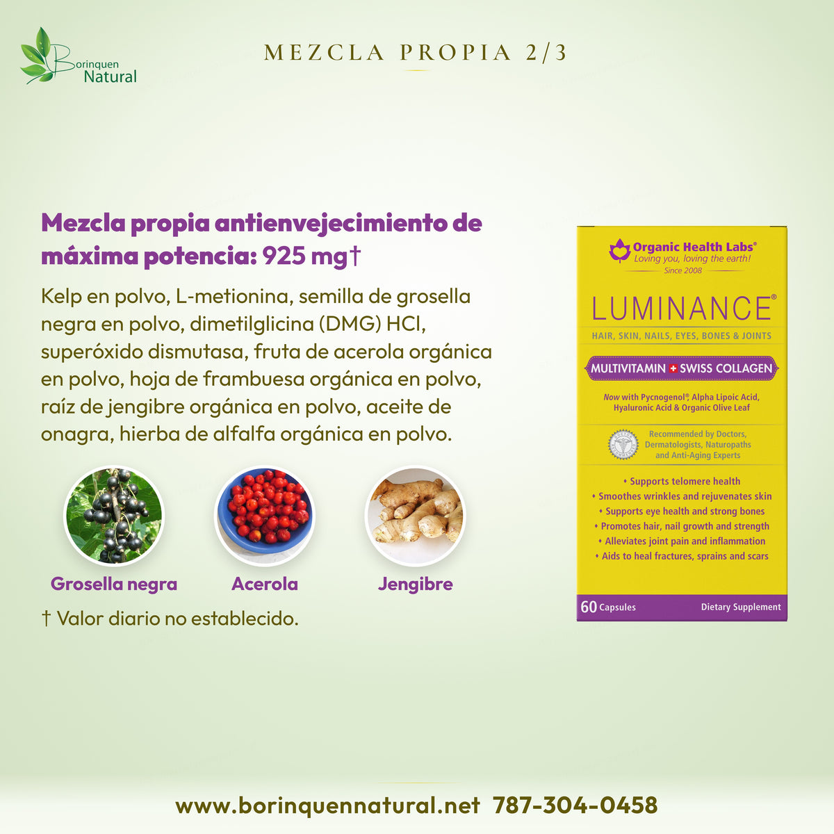 Mezcla propia de Luminance: kelp, L-metionina, grosella negra, acerola, frambuesa, jengibre, onagra y otros