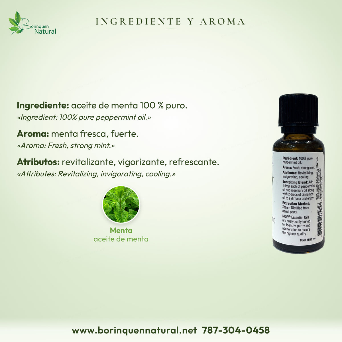 Menta NOW: aceite de menta 100 % puro; aroma de menta fresca, fuerte; revitalizante, vigorizante, refrescante