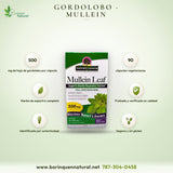 Gordolobo Mullein Nature's Answer 500 mg, Vías Respiratorias, 90 Caps