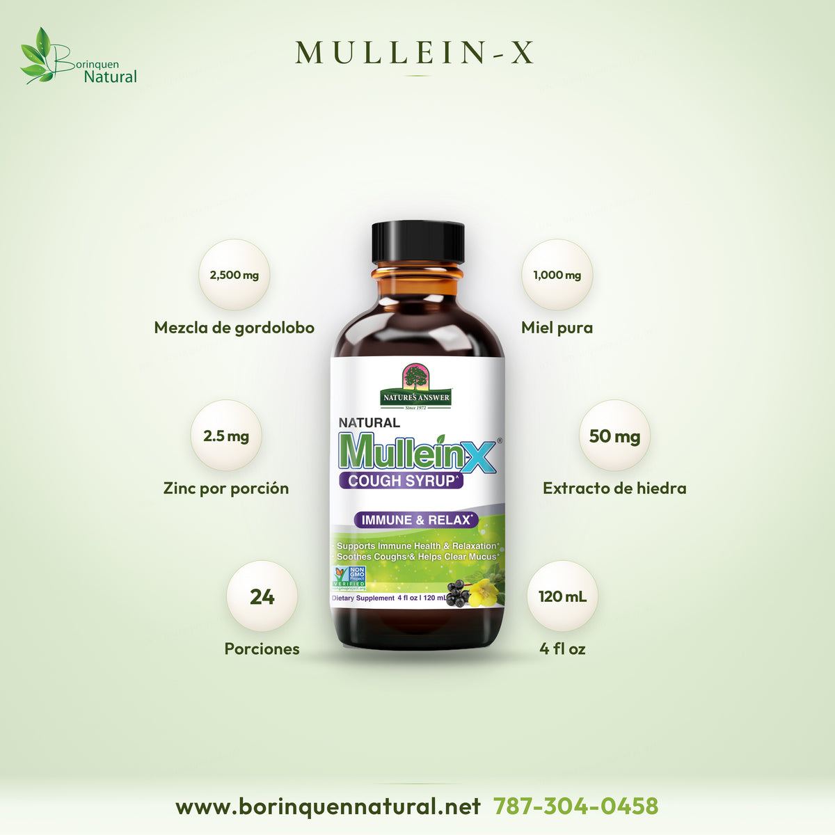 Mullein-X Jarabe de Gordolobo para la Tos, Nature's Answer 4 oz