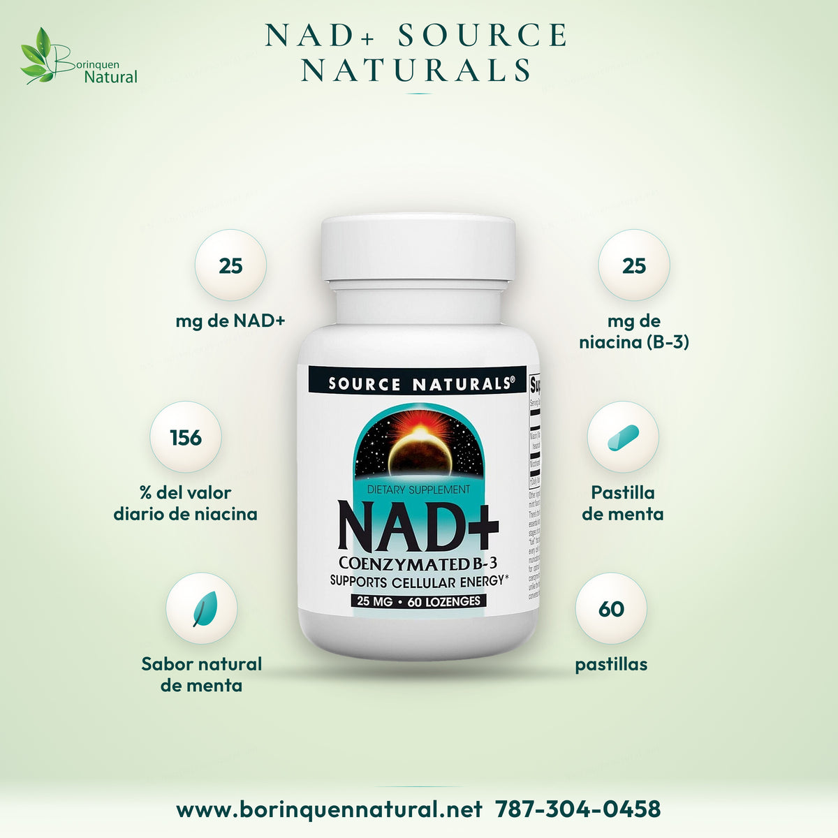 NAD+ coenzimado B-3 de Source Naturals, 25 mg por pastilla, frasco de 60 pastillas de menta