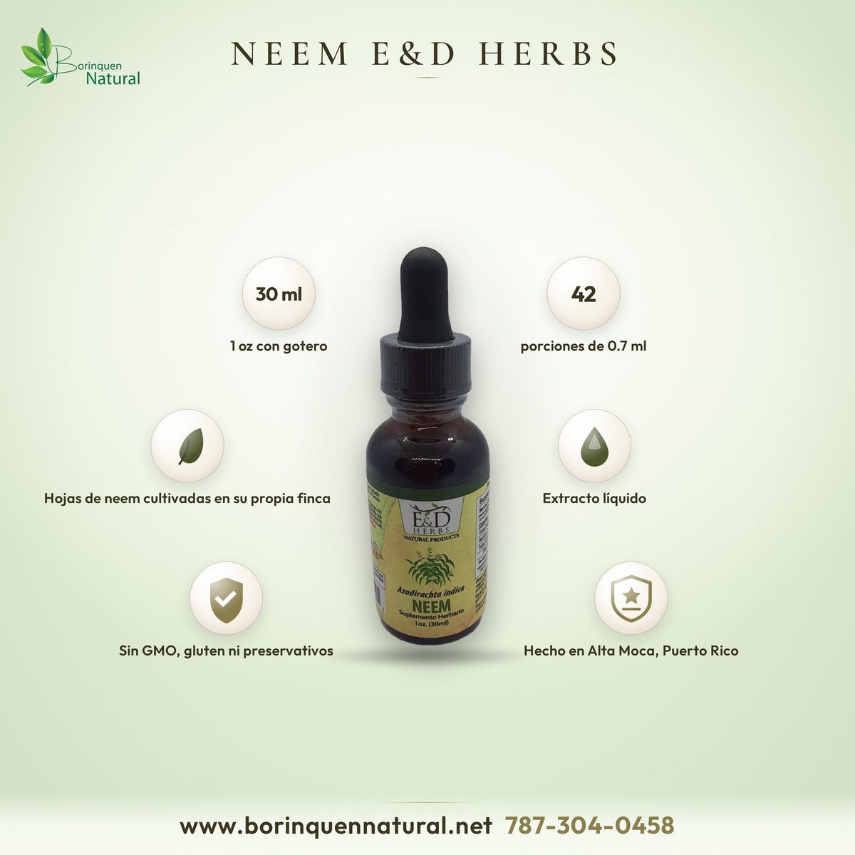 Extracto líquido de neem (Azadirachta indica) de E&D Herbs, suplemento herbario hecho en Puerto Rico, gotero de 1 oz (30 ml)