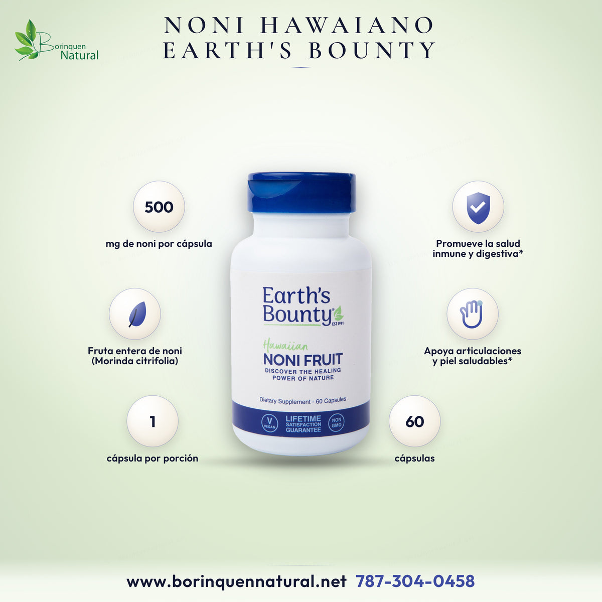 Hawaiian Noni Fruit de Earth's Bounty, 500 mg de fruta entera de noni por cápsula, 60 cápsulas