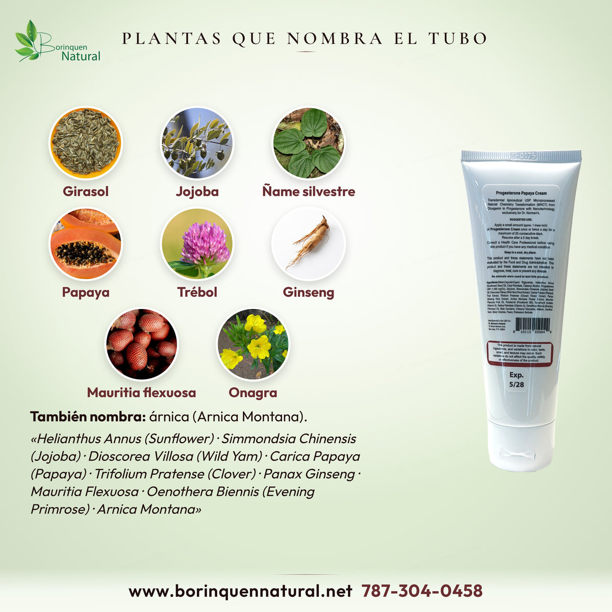 Plantas que nombra el tubo: girasol, jojoba, ñame silvestre, papaya, trébol, ginseng, Mauritia flexuosa, onagra y árnica