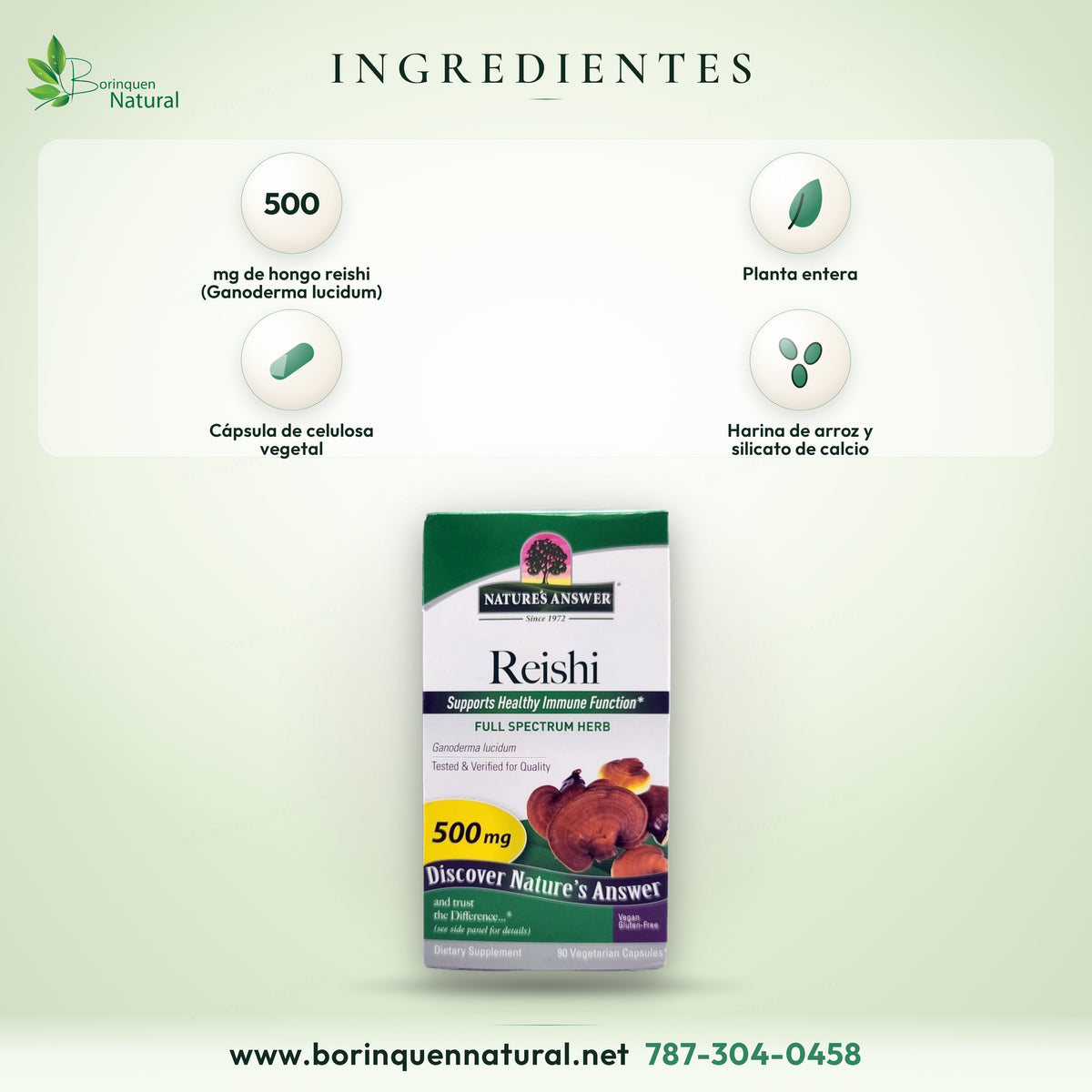 Nature's Answer Reishi ingredients: 500 mg reishi mushroom (Ganoderma lucidum), whole plant, vegetable capsule