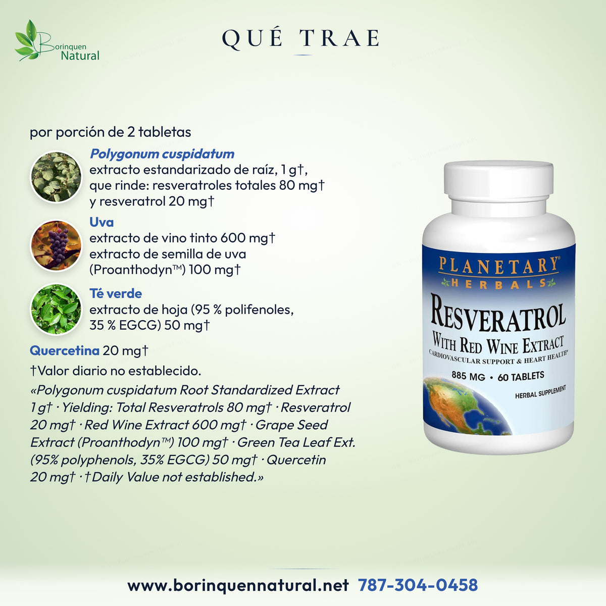 Qué trae Resveratrol Planetary Herbals: Polygonum cuspidatum, vino tinto, semilla de uva, té verde y quercetina