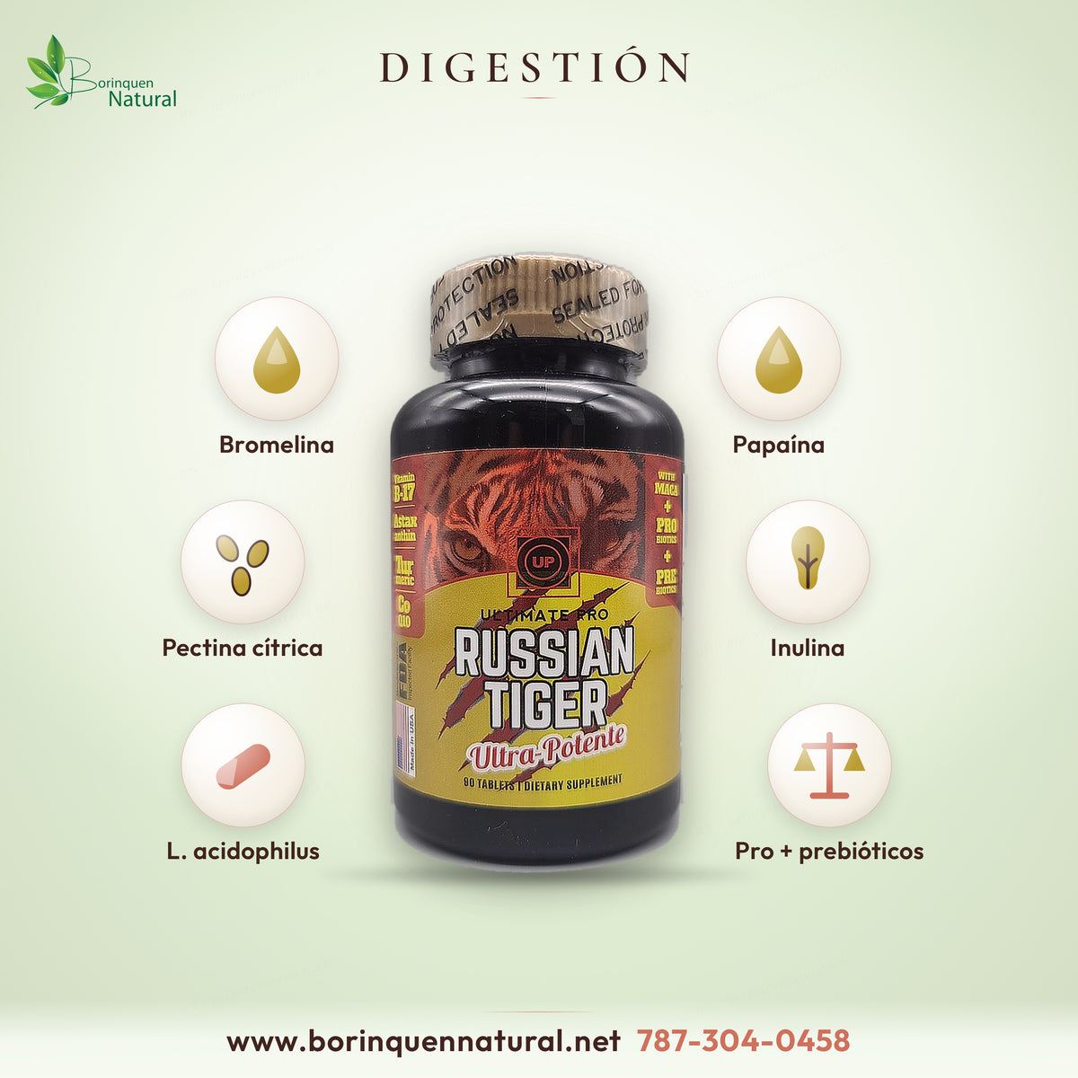 Enzimas digestivas y probióticos del Russian Tiger: bromelina, papaína, inulina y Lactobacillus acidophilus