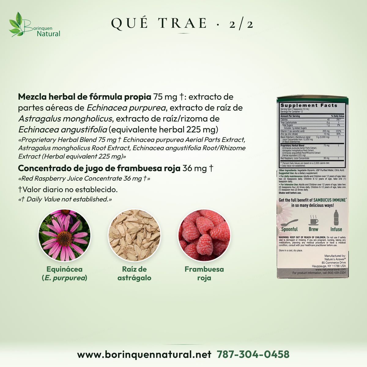 Qué trae el Sambucus Immune: mezcla herbal de equinácea y astrágalo 75 mg y concentrado de jugo de frambuesa roja 36 mg