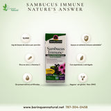Sambucus Immune - Black Elderberry Extract - 12000 mg - 4oz
