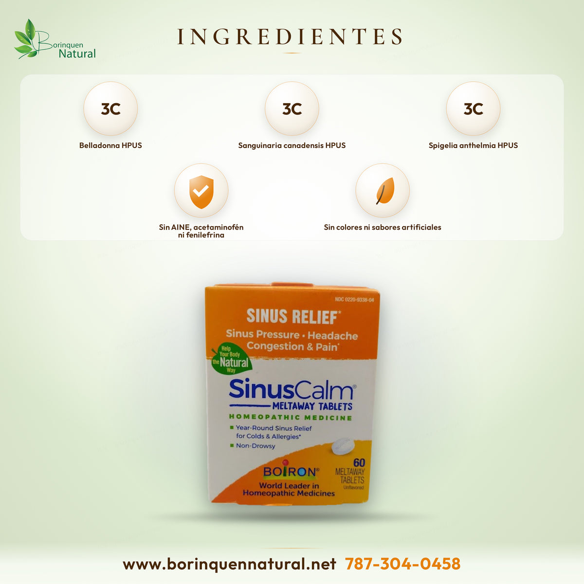 Ingredientes activos de SinusCalm de Boiron: Belladonna, Sanguinaria canadensis y Spigelia anthelmia 3C HPUS