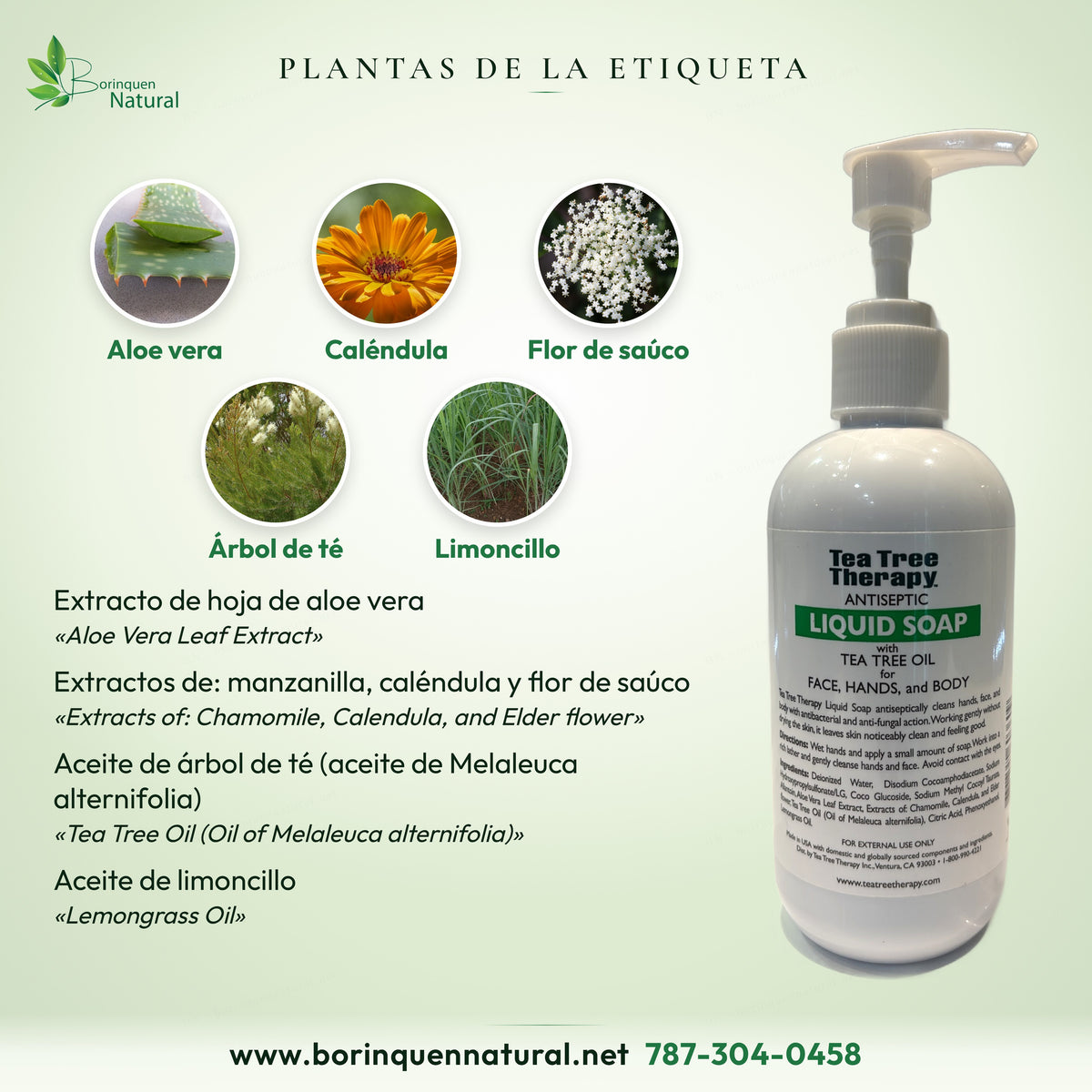 Plantas de la etiqueta del jabón Tea Tree Therapy: aloe vera, caléndula, flor de saúco, árbol de té y limoncillo