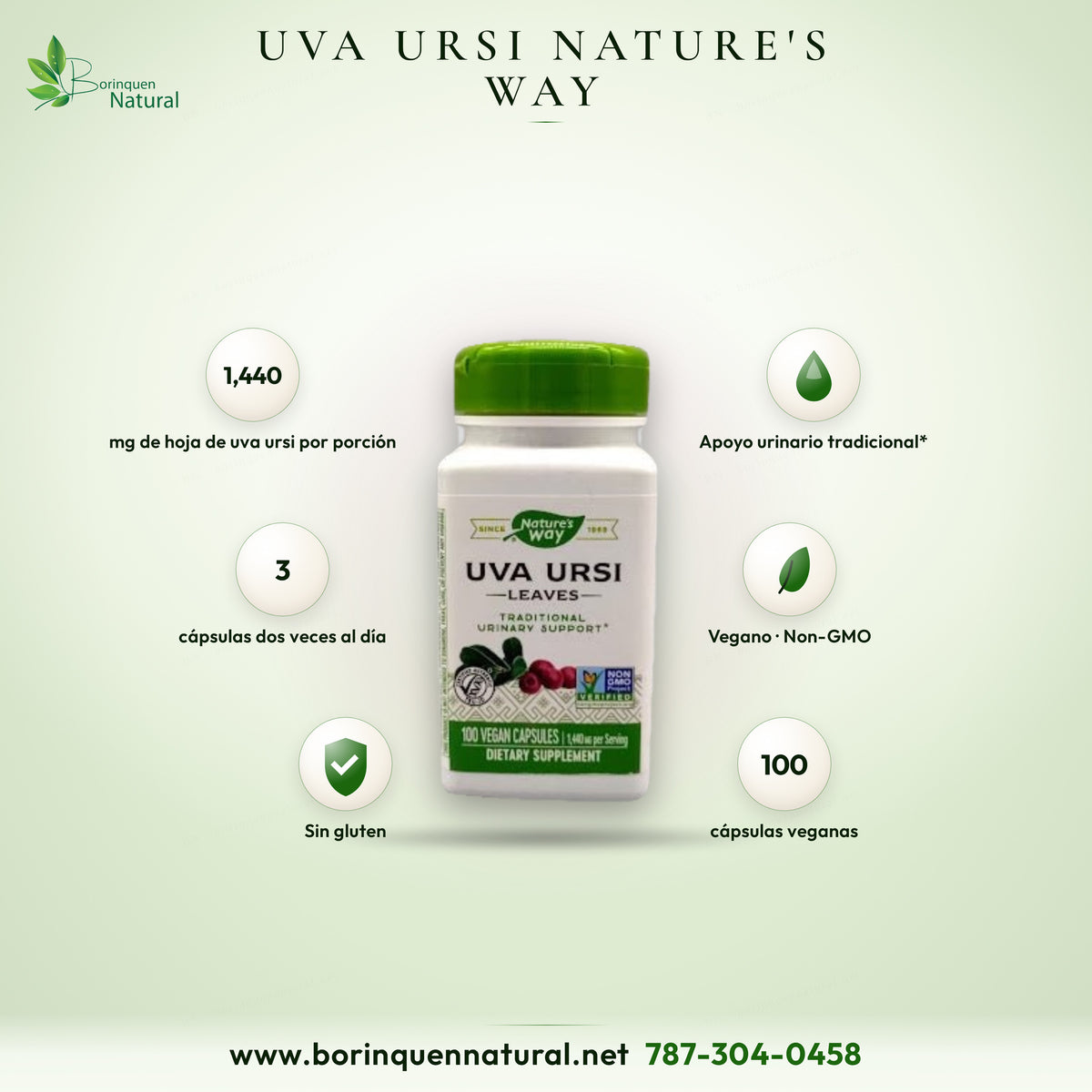 Nature's Way Uva Ursi graphic: 1,440 mg of leaf per serving, 3 capsules twice daily, 100 vegan capsules
