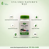 Uva Ursi Nature's Way, Hoja 1,440 mg por Porción, 100 Cápsulas Veganas