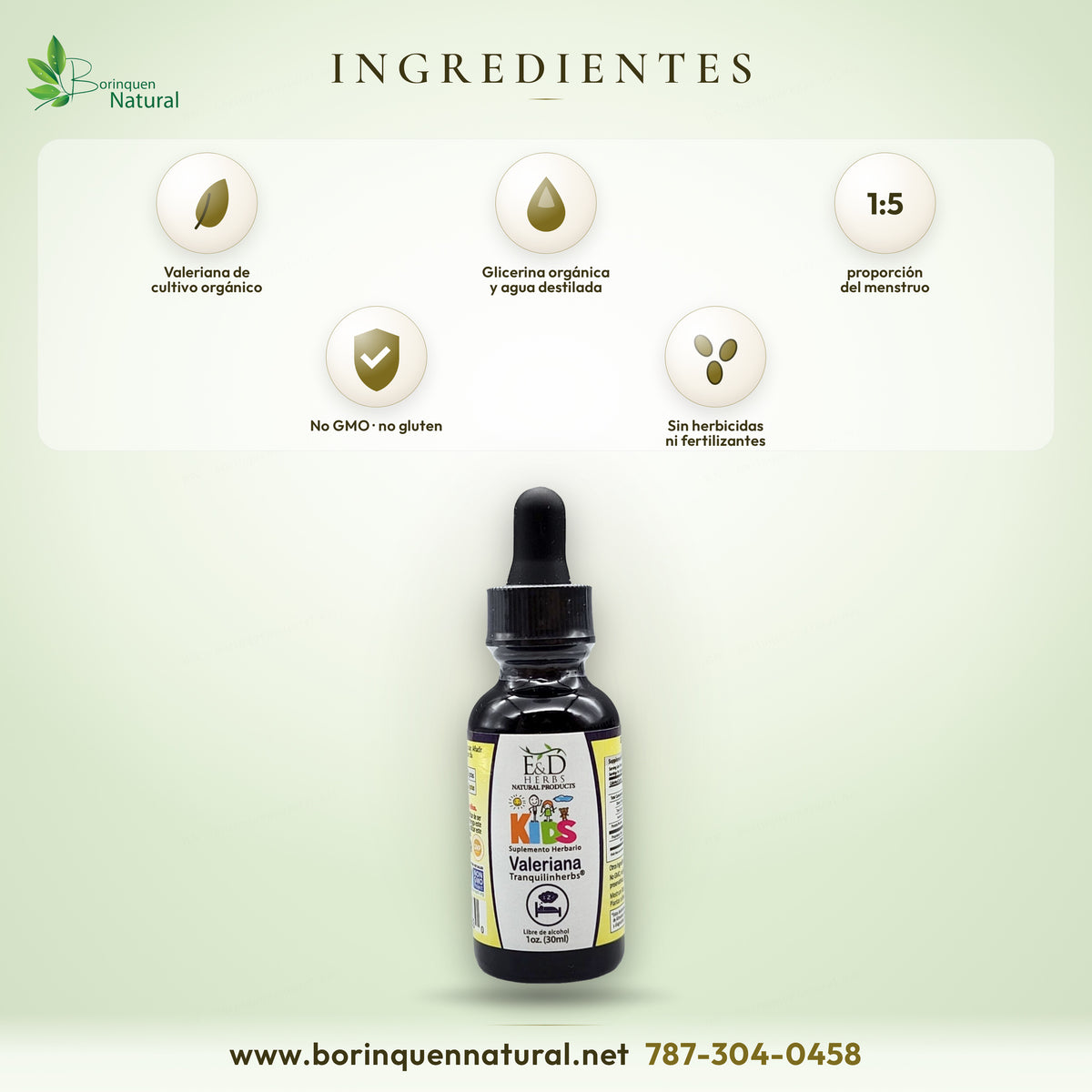 Ingredientes de Valeriana Kids E&D Herbs: valeriana de cultivo orgánico en glicerina orgánica y agua destilada